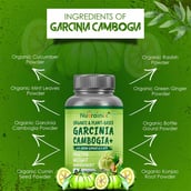 4 - Nutrainix Garcinia Cambogia+ with Green Ginger & 5 HTP, 90 capsules