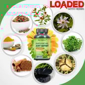 2 - Nutrainix Organic & Plant Based Joint Support,  120 capsules 