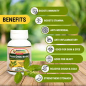 2 - Bodywell Tulsi (Holi Basil) Pure Extract 500 mg,  60 veggie capsule(s) 