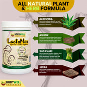 3 - Bodywell Lactomax Ayurvedic Lactation Supplement,  250 g 