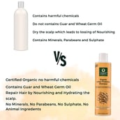 4 - Organic Harvest Organic Colour Protection Shampoo,  250 ml  for All Types of Hair 