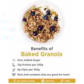 benefits - True Elements Baked Granola,  Honey Crunch  0.450 kg 