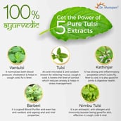 4 - Dr. Morepen Tulsi Drops (Pack of 2), 30 ml