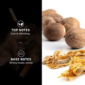 3 - Ustraa Black Deodorant Body Spray (Pack of 3), 150 ml for Men