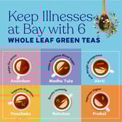 6 - Kapiva Akrti Green Tea,  20 Tea Bag(s)  Unflavoured 