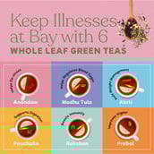6 - Kapiva Anandam Green Tea, 20 Tea Bag(s) Unflavoured