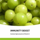 2 - Pure Cure + Co Amla, 60 tablet(s)