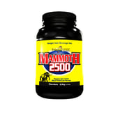 Inter Active Nutrition Mammoth 2500,  4.8 lb  Chocolate 