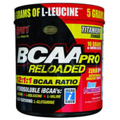 SAN BCAA-Pro Reloaded,  1 lb  40 Servings  Berry Pomegranate 