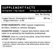 INLIFE Guggul Extract 400 mg,  60 capsules 