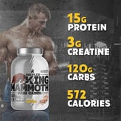 6 - Big Flex King Mammoth Mass Gainer, 2.2 lb Kesar Badam