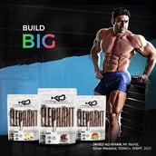 4 - Absolute Nutrition Knockout Series Elephant Mass Gainer,  2.2 lb  Saffron Pistacho 