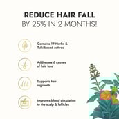 6 - Kapiva Hair Rituals Tulsi Anti Hairfall Oil, 100 ml for All Hair Types