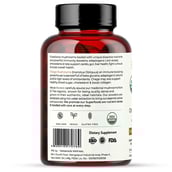 2 - Rooted Active Naturals Chaga Organic Mushroom Extract,  60 veggie capsule(s) 