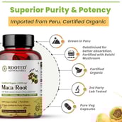 3 - Rooted Active Naturals Maca Root,  90 veggie capsule(s) 