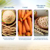 4 - VLCC Fair+Glow Sun Screen Lotion,  100 ml  Ashwagandha & Wheatgram Extract 