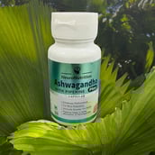 2 - NeuroNutrition Immunity Booster - Shilajit, Ashwagandha, Vitamins B12 & B1 Combo,  4 Piece(s)/Pack 