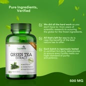 4 - Simply Herbal Green Tea Extract 500mg,  80 veggie capsule(s)  Unflavoured (Pack of 3) 