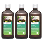 1 - Axiom Mukti Gold Herbal Hairwash,  500 ml  for All Types Hair Pack of 3 