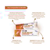 5 - Tata 1mg Pain Relief,  75 g 