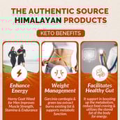 4 - Divya Himalayan Premium KETO (Pack of 2),  60 capsules 