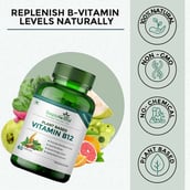 6 - Simply Herbal Plant Based Vitamin B12,  60 capsules  Unflavoured (Pack of 4) 