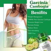 5 - Simply Herbal Garcinia Cambogia (Pack of 3),  60 capsules 
