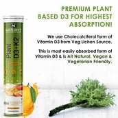 3 - Naturyz Plant D3+K2,  20 tablet(s)  Mango (Pack of 3) 