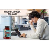 6 - Humming Herbs Rhodiola Ginseng,  90 veggie capsule(s) 