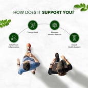 4 - Himalayan Organics Moringa Powder,  350 g 