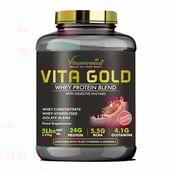 1 - Vitaminnica Vita Gold Whey Protein Blend,  5 lb  Strawberry Cheese Cake 