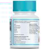 2 - myUpchar Ayurveda Madhurodh, 60 capsules