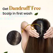 2 - myUpchar Ayurveda Kesh Art Bhringraj Shampoo,  200 ml  Anti-Dandruff 