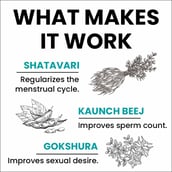 3 - myUpchar Ayurveda Prajnas Fertility Booster,  60 capsules 