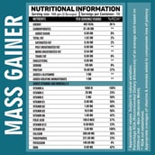 4 - Ripped Up Nutrition Mass Gainer, 2.2 lb Swiss Chocolate