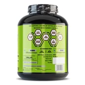 2 - Ripped Up Nutrition Massive Mass Gainer,  6.6 lb  Pistachio Ice Cream 