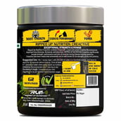 2 - Ripped Up Nutrition Creactive - Creapure Creatine Monohydrate,  Electric Lemonade  0.55 lb 