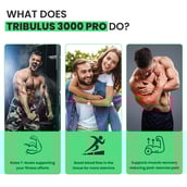 11 - Naturyz Daily Multivitamin Men 18+ 60 Tablets & Tribulus 3000 Pro 20 Tablets Combo,  2 Piece(s)/Pack  Unflavoured & Orange 