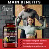 4 - Humming Herbs Ginkgo Biloba Ginseng,  180 capsules 