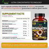 4 - Humming Herbs Echinacea 1200mg,  60 capsules 
