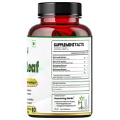 3 - Humming Herbs Olive Leaf & Fruit Extract,  60 capsules 