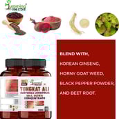 4 - Humming Herbs Tongkat Ali Eurycoma Longifolia,  180 capsules 
