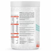 2 - Big Flex Runnerz Re-Gain, Watermelon 0.83 lb 25 Servings