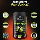 8 - Naturyz Pre-Form X6,  0.88 lb  Aam Panna 