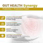 3 - Vaamveda GutZymes,  60 capsules 