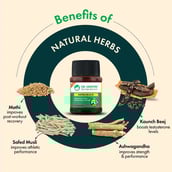 3 - Dr. Vaidya's Herbobuild (Pack of 3),  30 capsules 