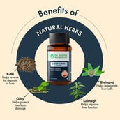 3 - Dr. Vaidya's Liver Care,  120 tablets 