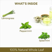 2 - The Tea Ark Lemongrass Tea Leaves,  Moroccan Mint - Tin  50 g 