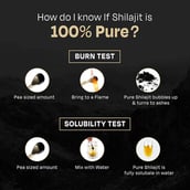 12 - Auric High Altitude Shilajit Gold Resin, 20 g