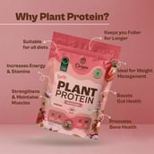 3 - Origin Nutrition Plant Protein,  1.80 lb  Berry Delight 
